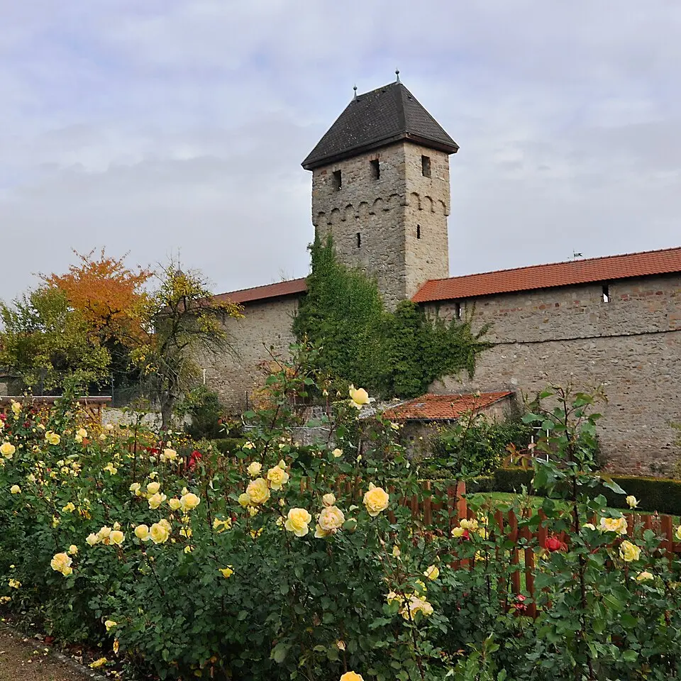 Kirchheimbolanden – Stadtansicht