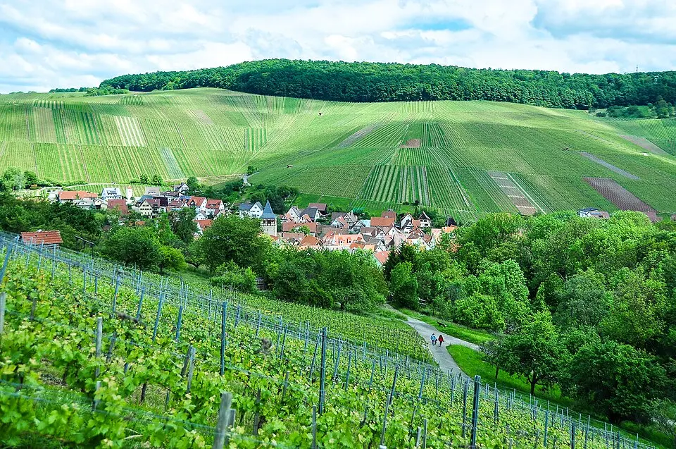 Weinstadt – Stadtansicht